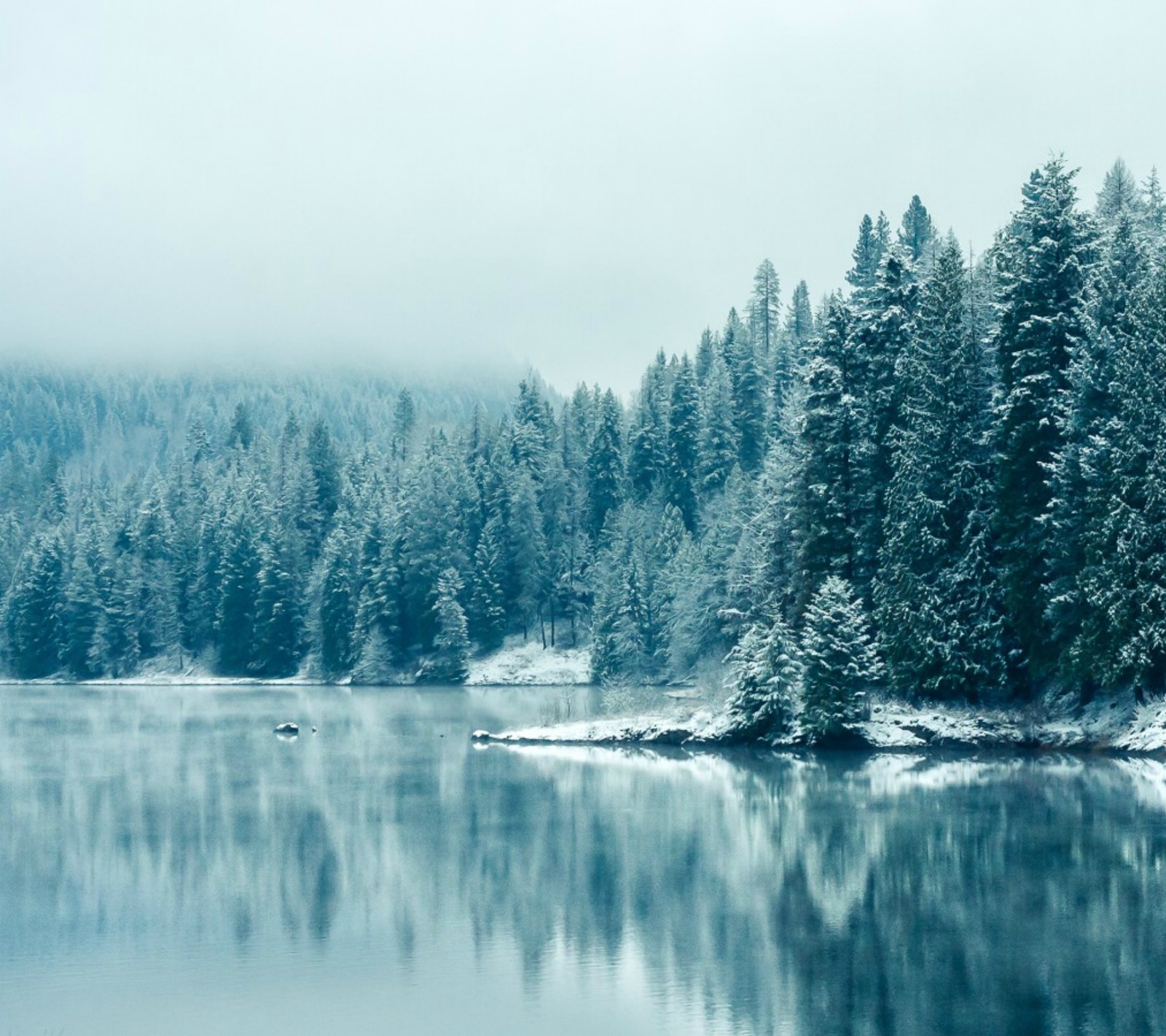 Lade natur, schnee Hintergrund herunter