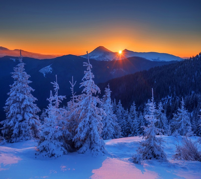 A view of a snowy mountain with trees and a sun setting (nature)