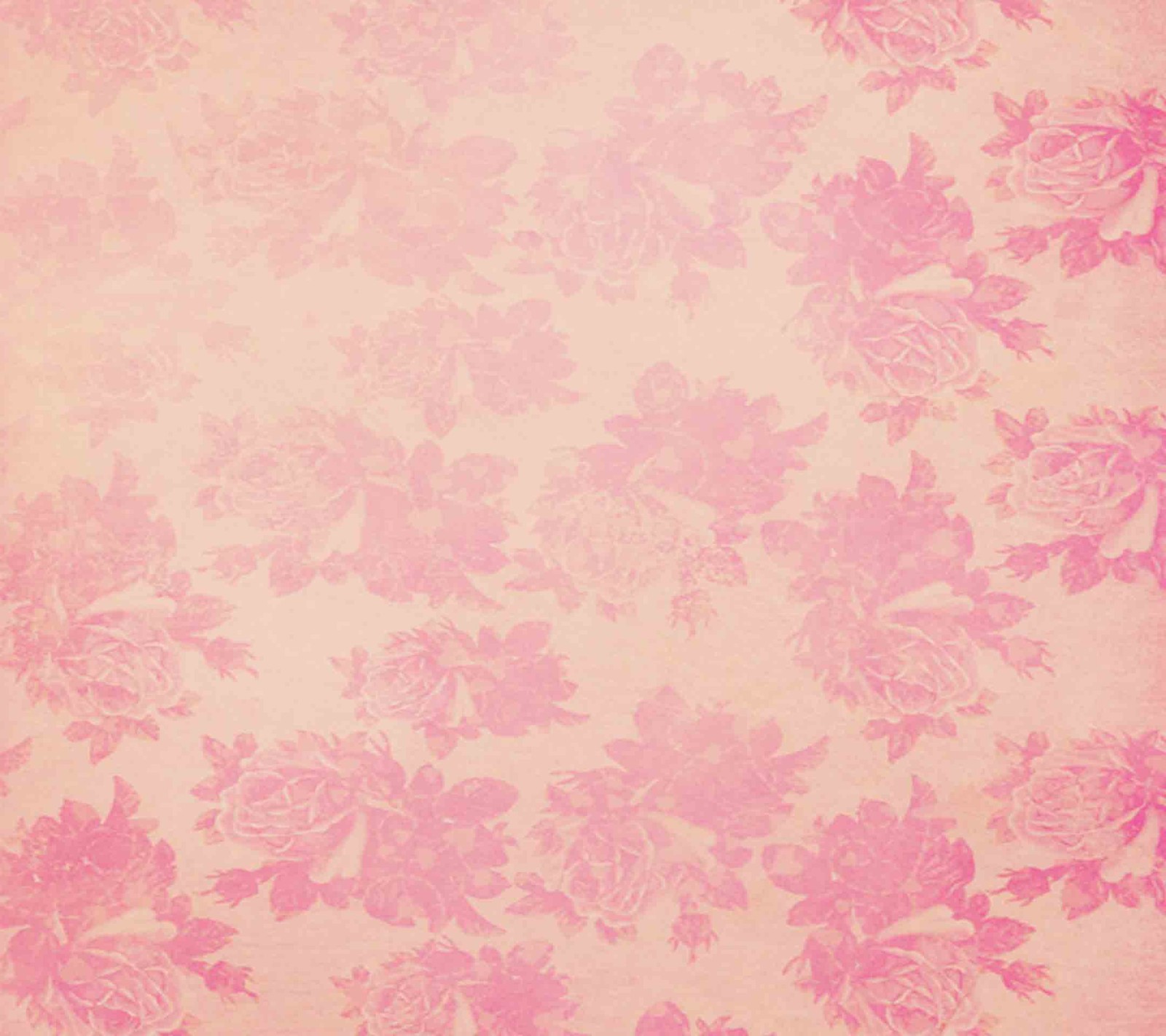 flowers, pink Download Wallpaper