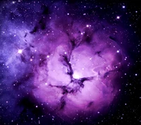 galáxia, roxo, espaço, estrelas