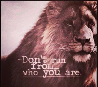 king, lion, new, nice, quote