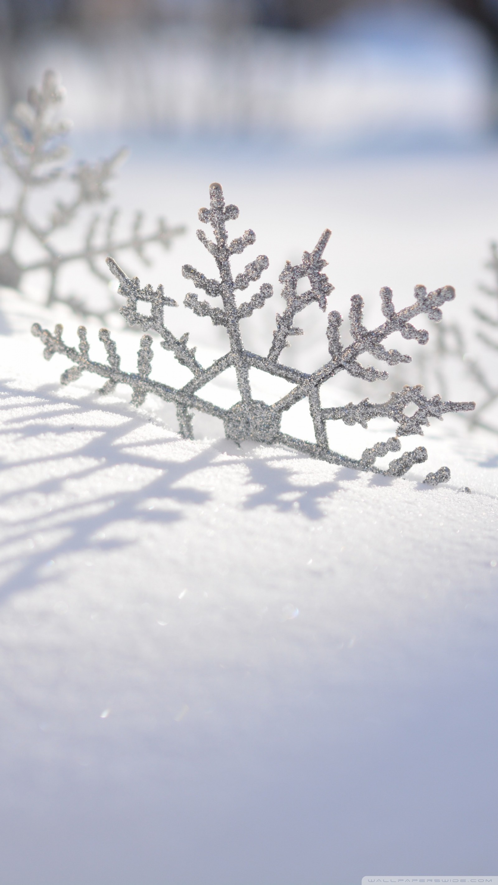 Hay copos de nieve en el suelo en la nieve (nieve, invierno)