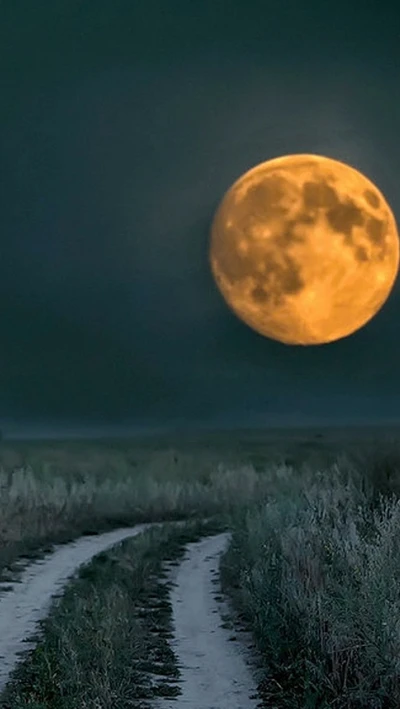 lua, noite, estrada