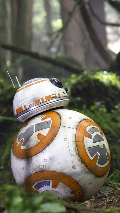 droid, hd, star wars, tapete