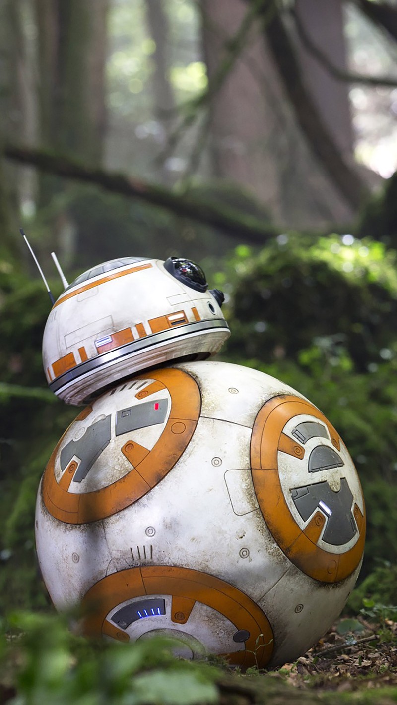 Крупный план игрушечного робота bb-8 в лесу (дроид, hd, звёздные войны, star wars, обои)