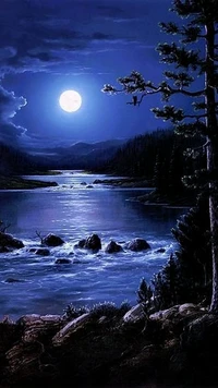 moon, nature, night, trees, water