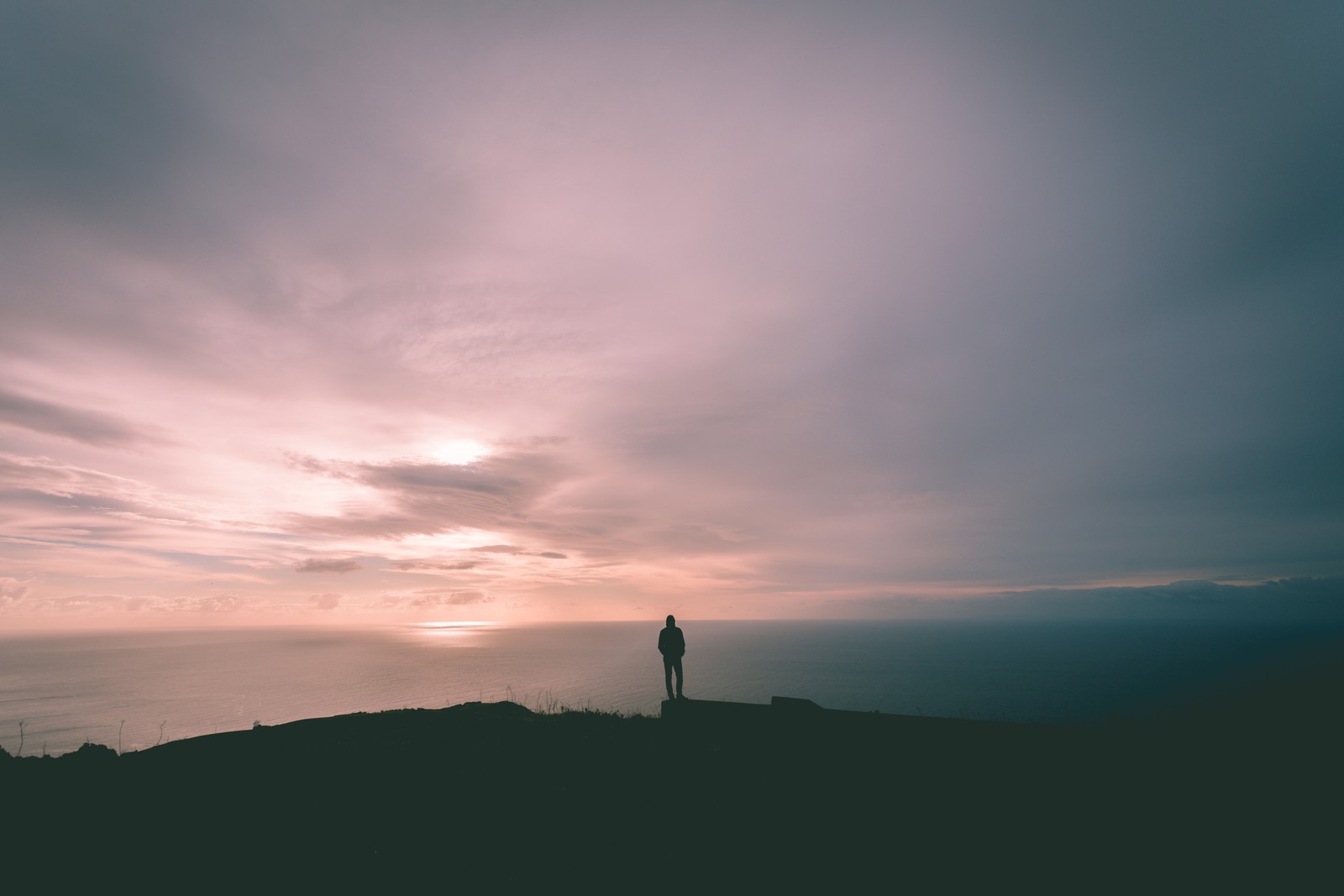 Girafe se tenant sur une colline surplombant l'océan au coucher du soleil (nuage, horizon, bleu, atmosphère, crépuscule)