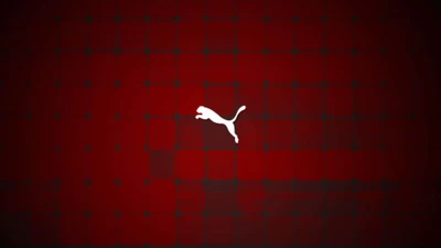 puma, rouge, motif, graphiques, atmosphère