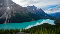 peyto lake, canada, glacier mountains, snow covered, landscape