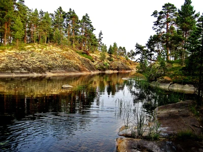 Спокойный водный путь, окруженный пышным лесом, отражения