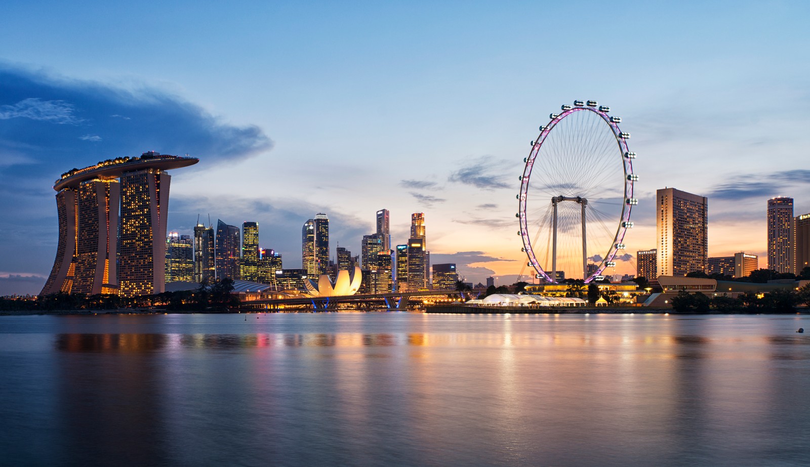 A view of a ferris wheel and a city skyline at dusk (cityscape, skyline, city, urban area, reflection)