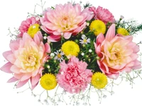 flower bouquet, floral design, cut flowers, floristry, petal