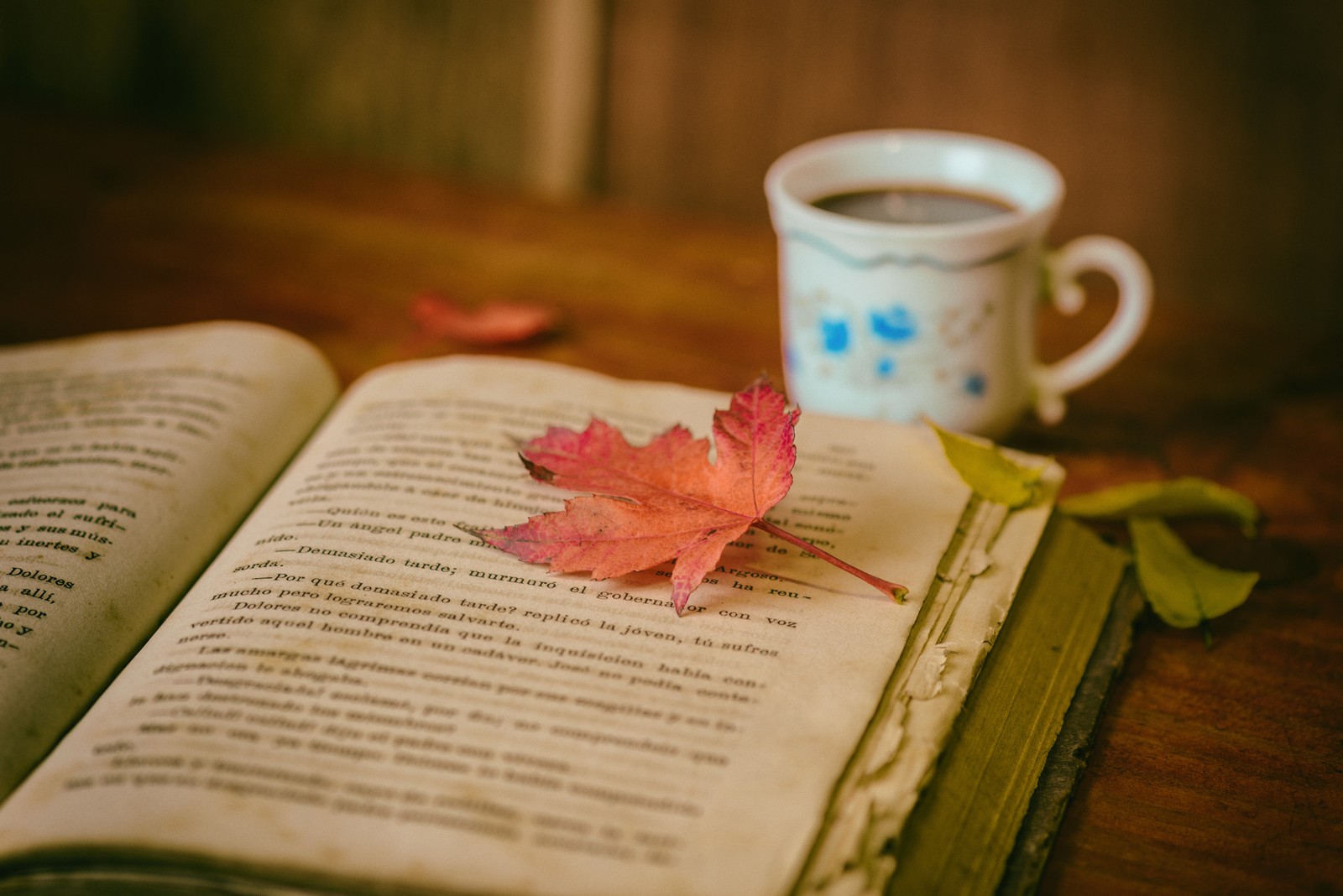 Há um livro e uma xícara de café em uma mesa (livro, leitura, folha, xícara, xícara de café)