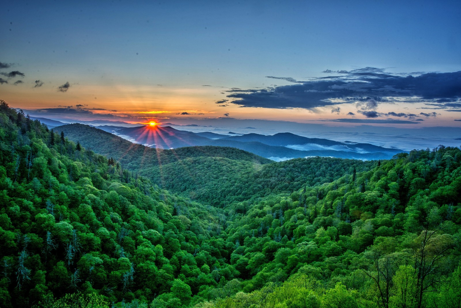 A view of the sun setting over a forested area with trees (sunrise, sunset, nature, vegetation, hill station)