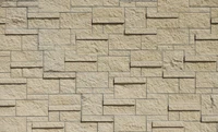 Mur en briques beige texturé avec un motif en mosaïque.