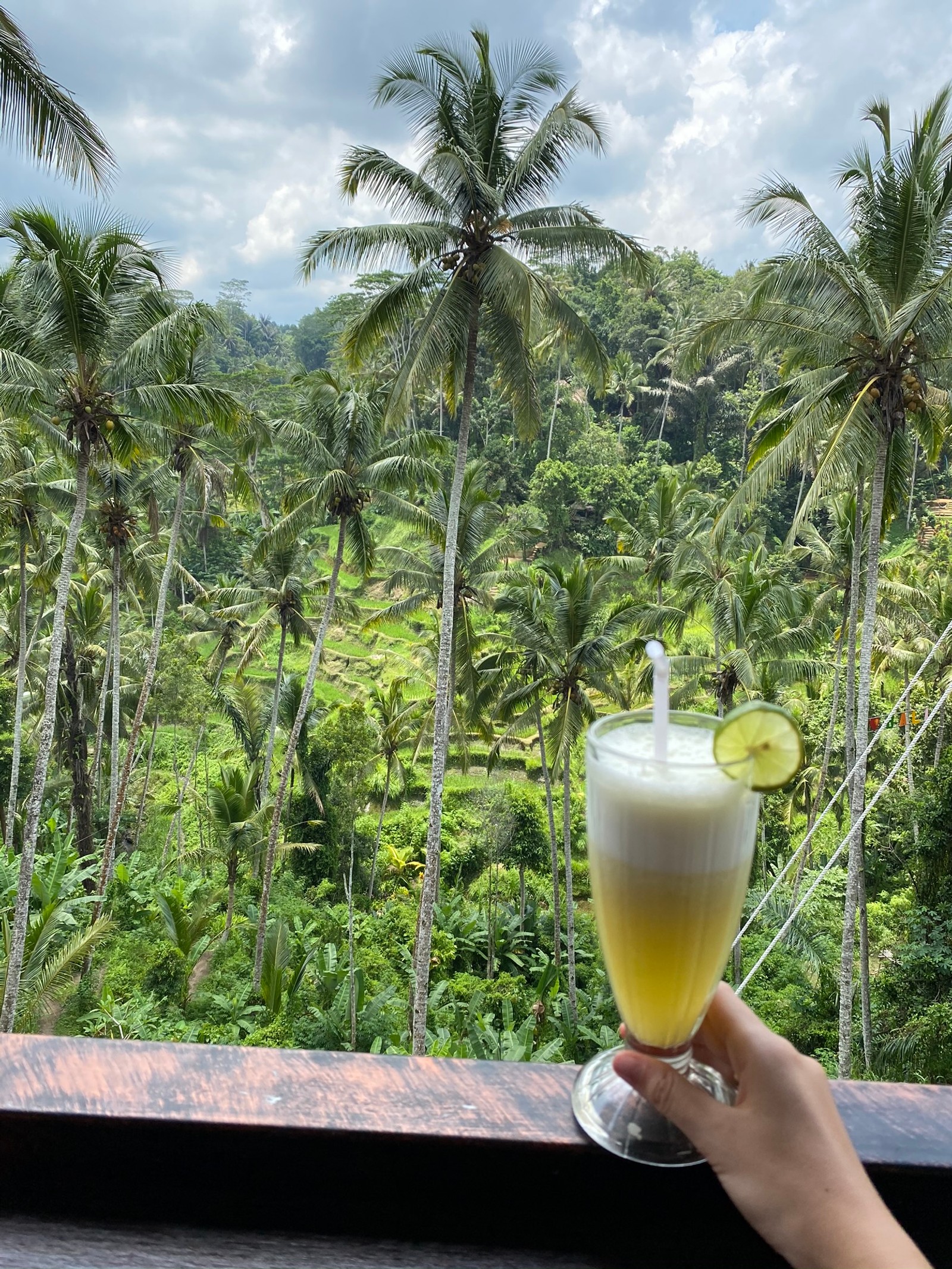 Alguien sosteniendo un vaso de jugo con una pajilla y una rodaja de lima (coco, agua, palmeras, ciencia, biología)