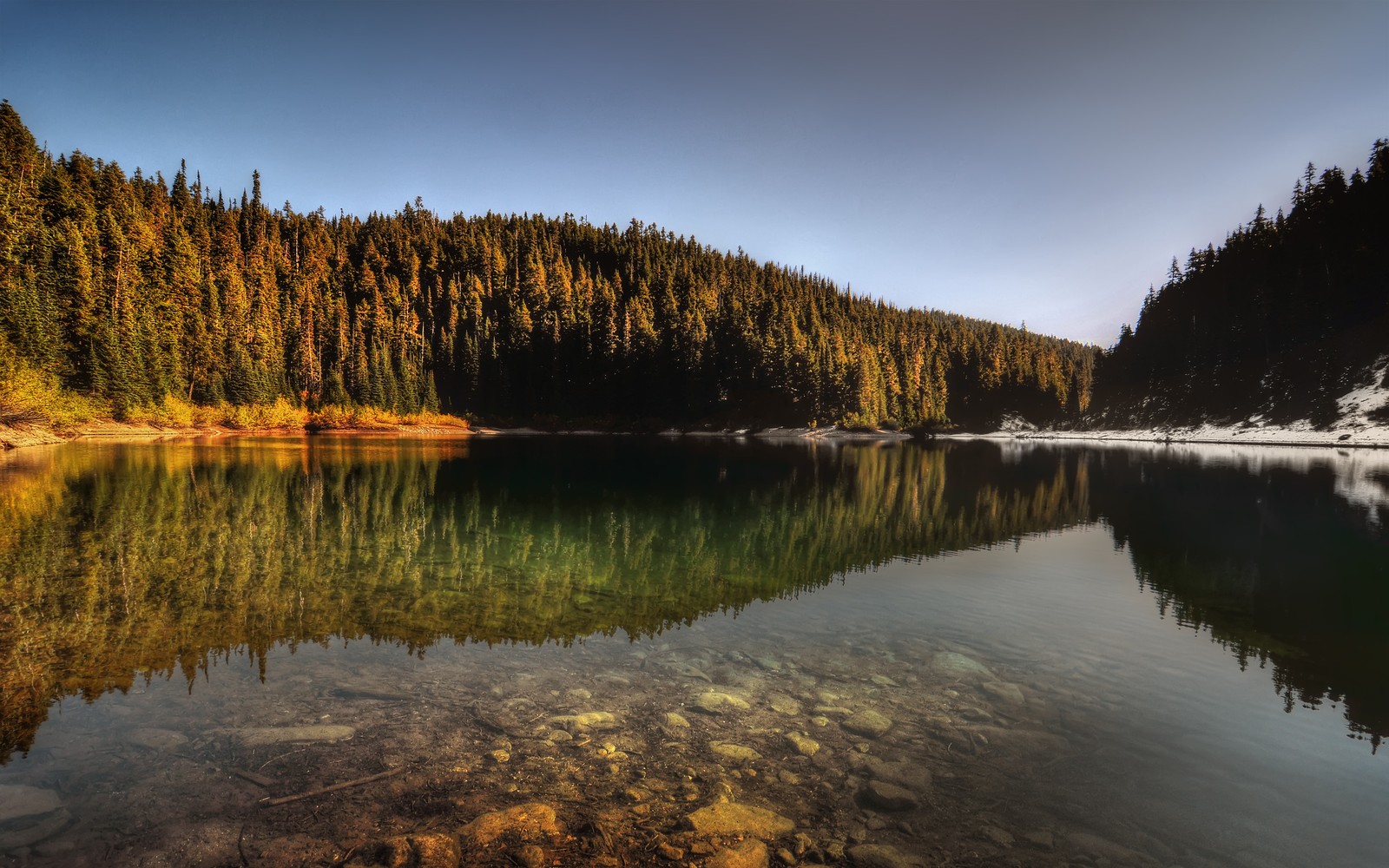 Vista árabe de un lago con un bosque de fondo (lago, reflexión, árbol, naturaleza, agua)