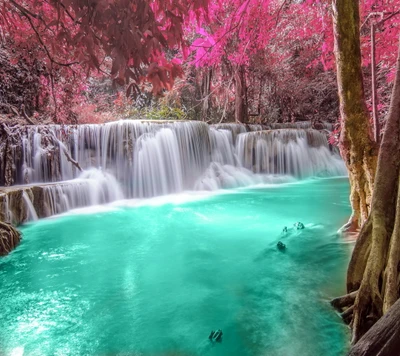 outono, esmeralda, floresta, flúmen, cachoeira