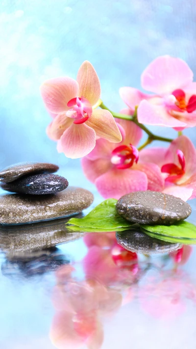 Zen Gelassenheit: Orchideen, Steine und ruhige Tropfen