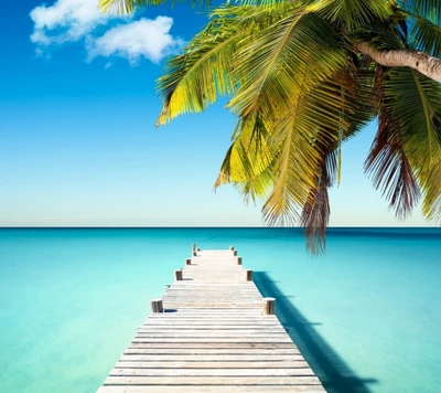 Tropical Serenity: Palm-Fringed Pier Over Crystal Blue Waters