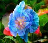 Flor Azul do Amor em Belgrado