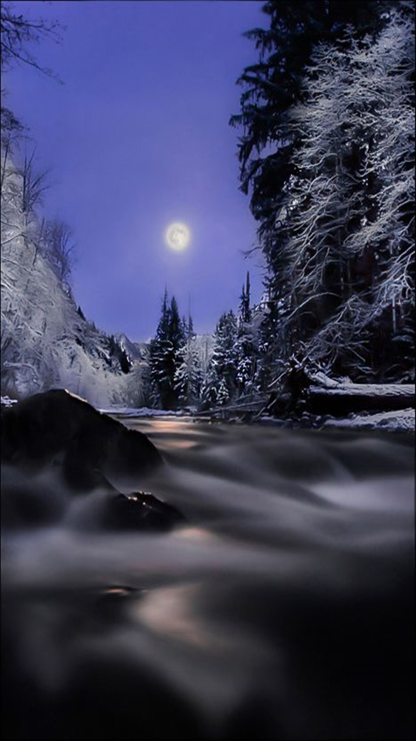 A view of a river with a full moon in the sky (landscape, nature)