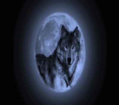 A majestic wolf silhouetted against a glowing full moon in a serene night sky.