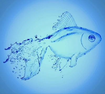 blue, drops, fish, splash, water