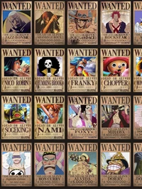 Collection of Bounty Posters from One Piece