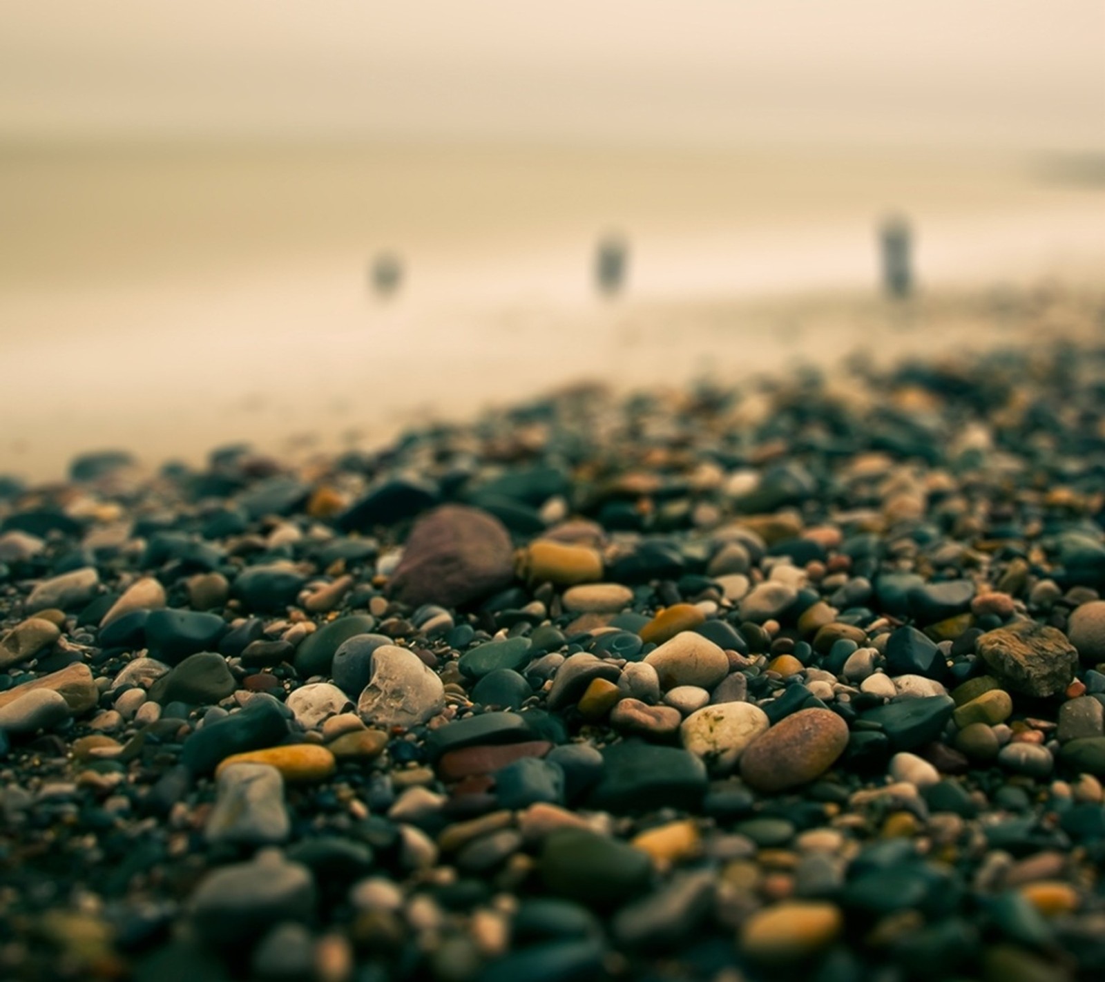 Hay muchas rocas y guijarros en la playa cerca del agua (playa, genial, paisaje, naturaleza, nuevo)