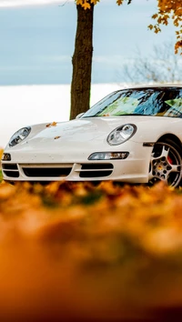 voiture, sympa, porsche 911