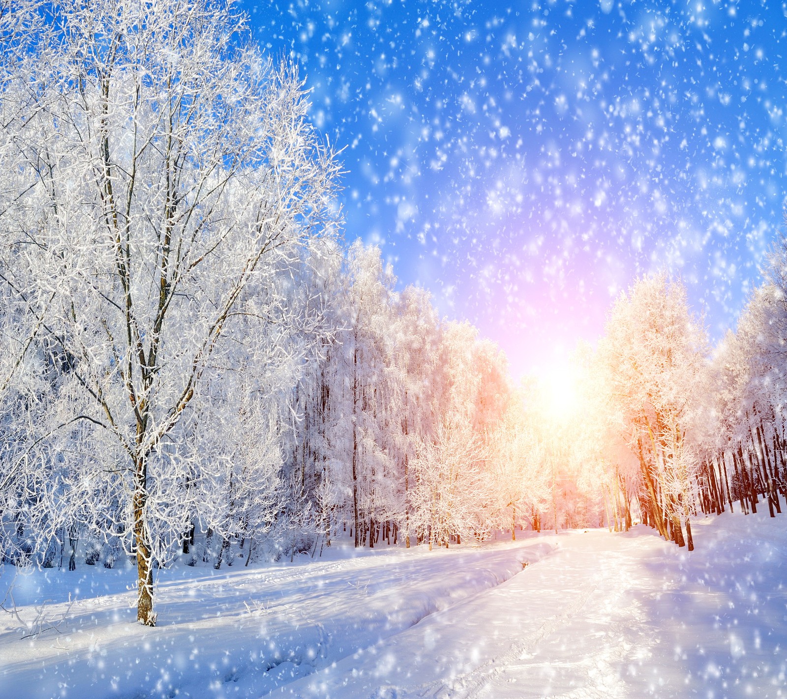 Eine verschneite straße mit bäumen und schneeflocken im vordergrund (wald, schnee, schneeflocken, sonnenschein, baum)