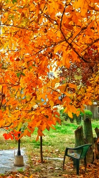 otoño, mejor, paisaje, nuevo, papel