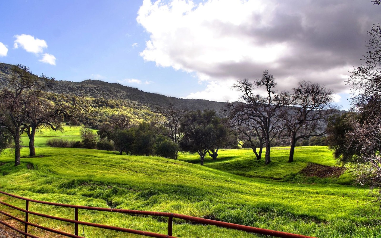 Árboles y hierba en un campo con una cerca y una montaña al fondo. (primavera, naturaleza, pradera, árbol, cielo)