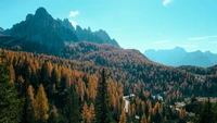 wald, herbst, natur, berge, bäume