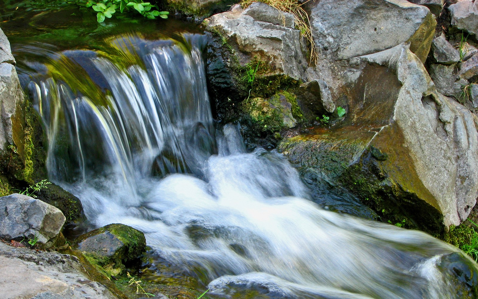 Hay una pequeña cascada que fluye sobre rocas (agua, cascada, recursos hídricos, cuerpo de agua, naturaleza)