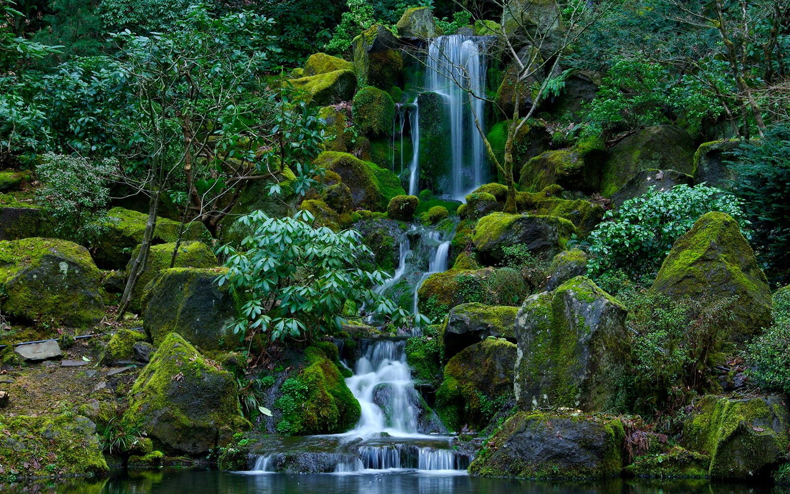 Arafed waterfall in a forest with mossy rocks and water (waterfall, body of water, water resources, nature, vegetation)