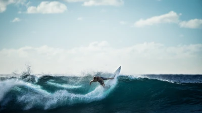 onda, surfing, oceano, cenário