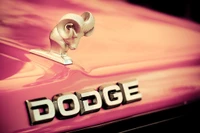 Nahaufnahme der Motorhaube eines vintage Dodge-Autos mit einem markanten Widderemblem und lebhaftem pinken Lack.