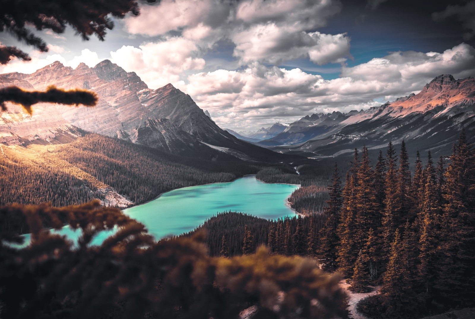 A view of a lake surrounded by trees and mountains (peyto lake, nature, lake, mountain, natural landscape)