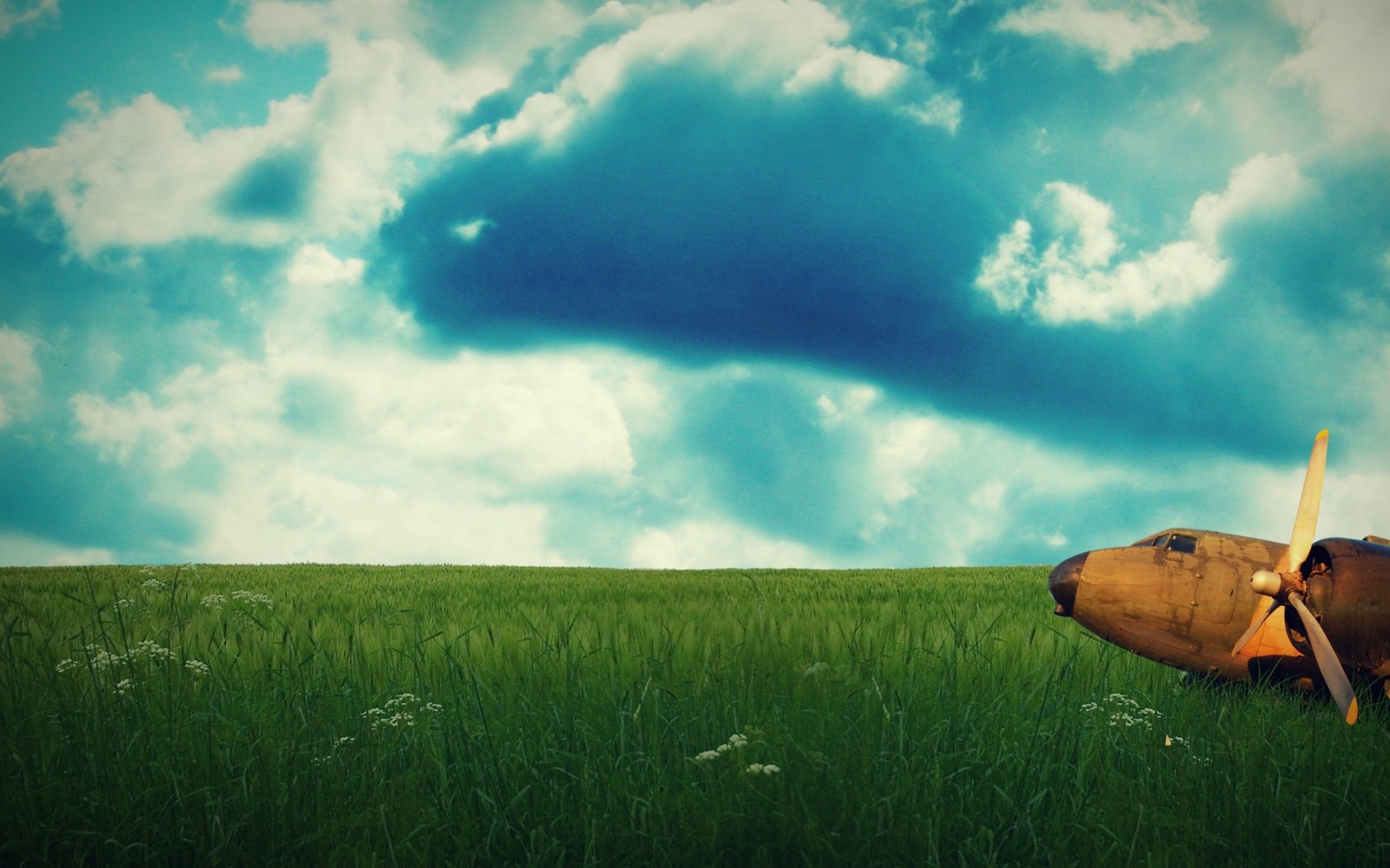 Il y a un petit avion qui est assis dans l'herbe (nature, vert, nuage, prairie, ciel)