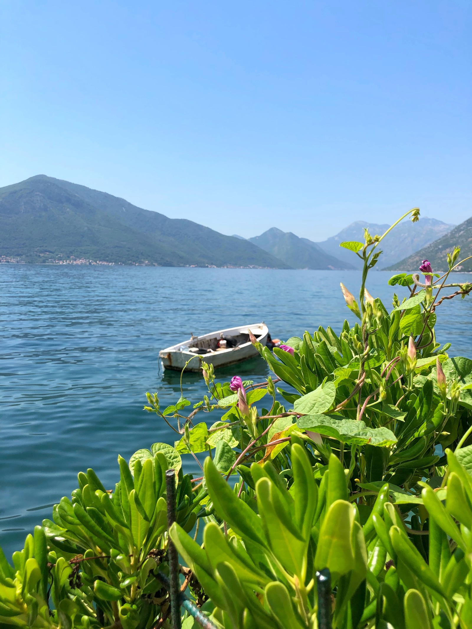 Há um pequeno barco flutuando na água (natureza, corpo de água, formas montanhosas, vegetação, costa)