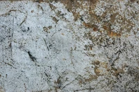 Mur en béton texturé avec givre et éléments géologiques