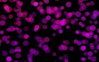 Motifs abstraits vibrants de bokeh rose et violet