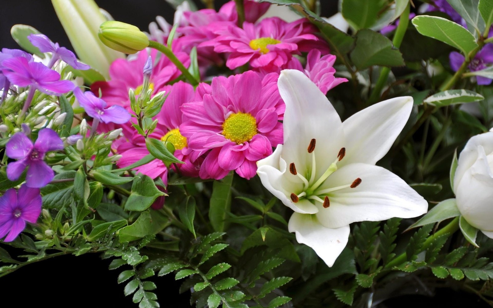 Il y a de nombreuses fleurs différentes dans un vase sur la table (plante à fleurs, pétale, plante, famille des lys, plante annuelle)