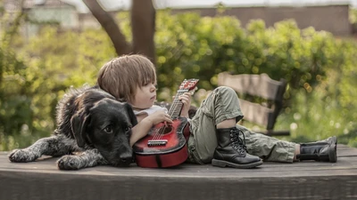 violão, cachorro, raça de cachorro, cães de raça, interação