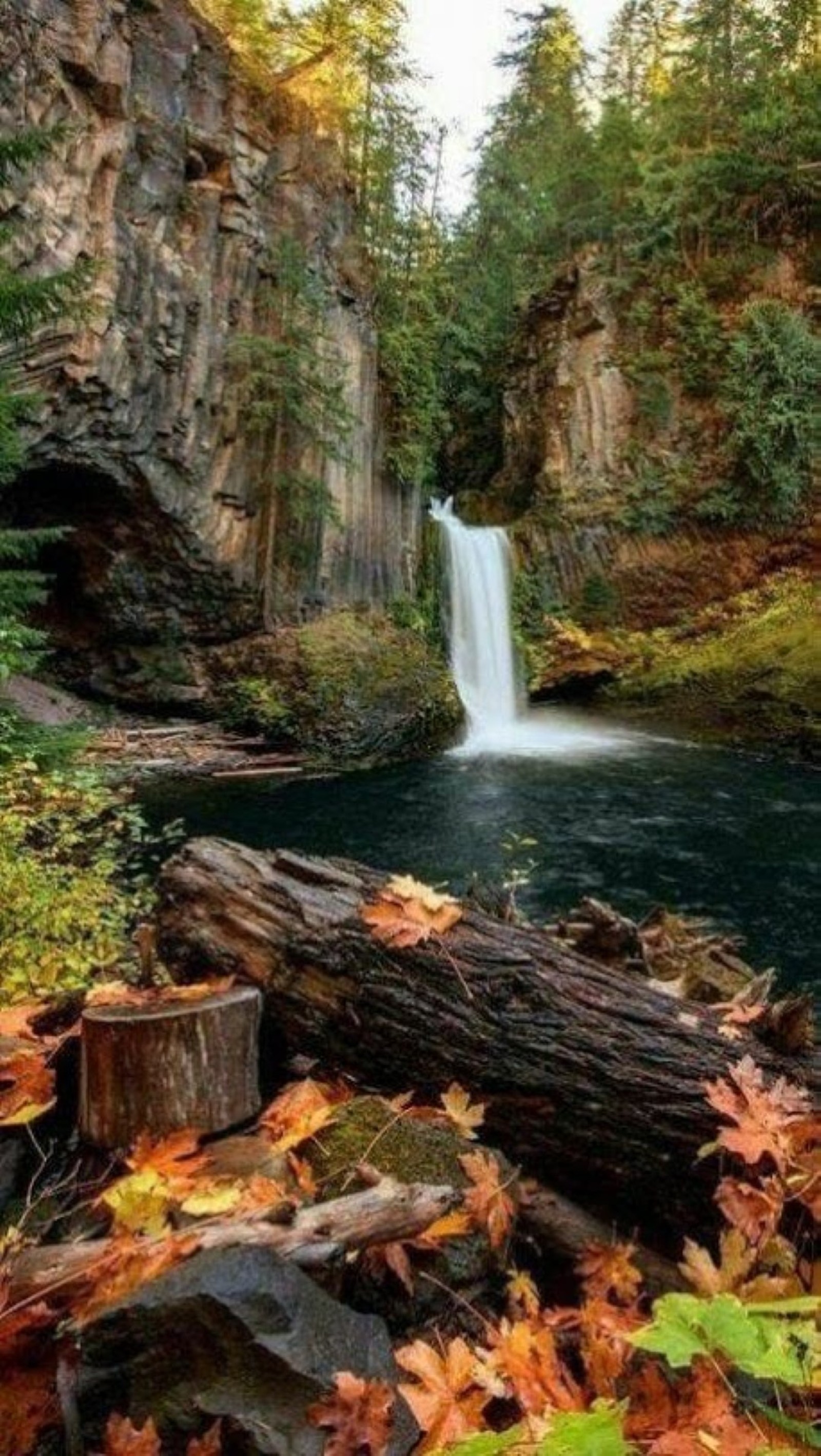 Um close em uma cachoeira em uma floresta com folhas caídas (outono, lago)