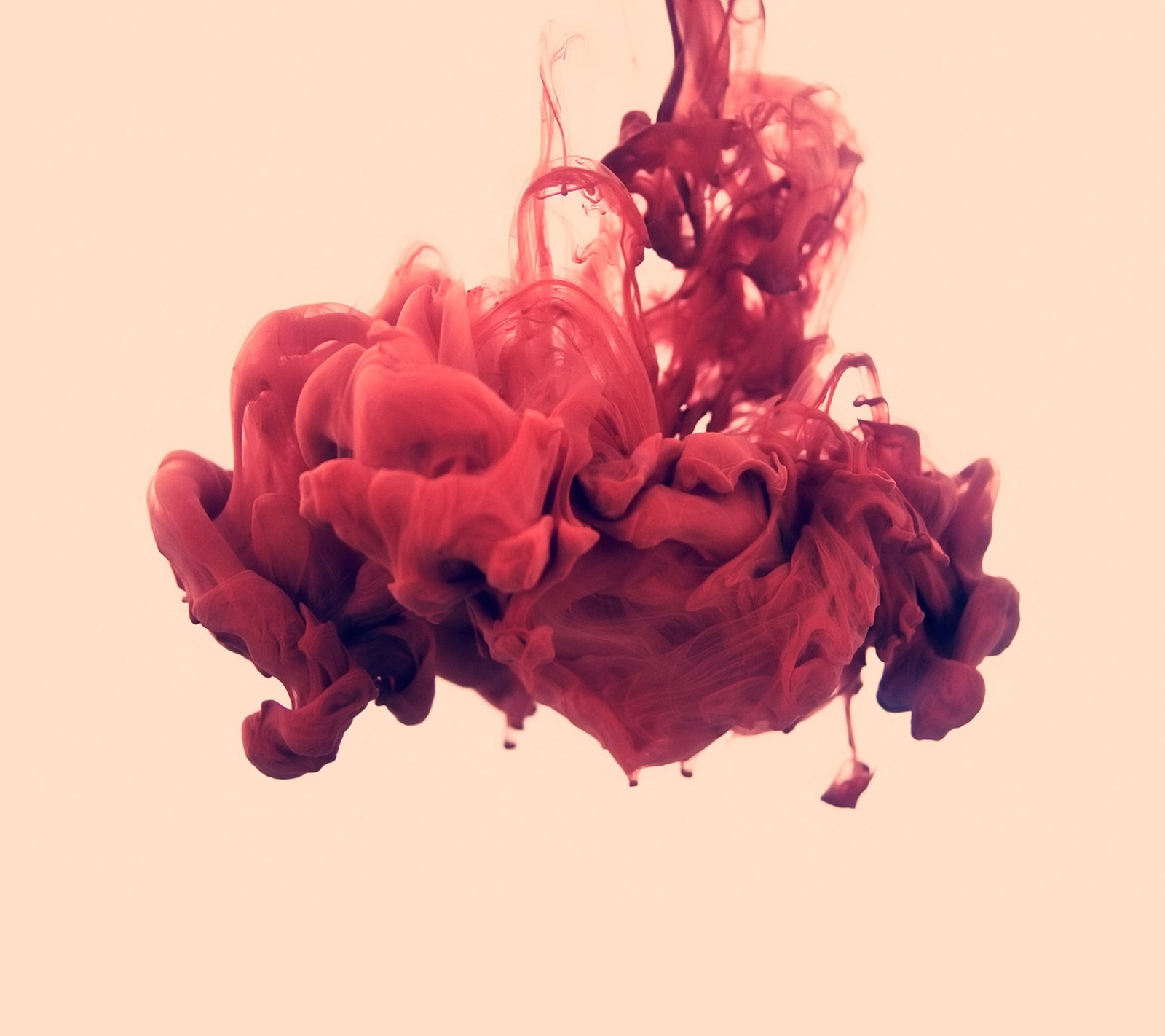 Gros plan d'une substance rouge dans l'eau (abstrait, couleur, g3, lg, rouge)