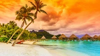 Tropical Paradise: Serenity by the Shore at Sunset