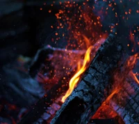 fuego, llama, macro, naturaleza, rojo